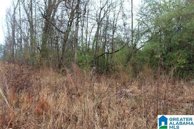 2191 Coldwater Road Anniston, AL 36201 - Photo 17 of 25