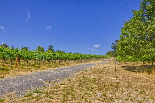 a view of a road with a yard
