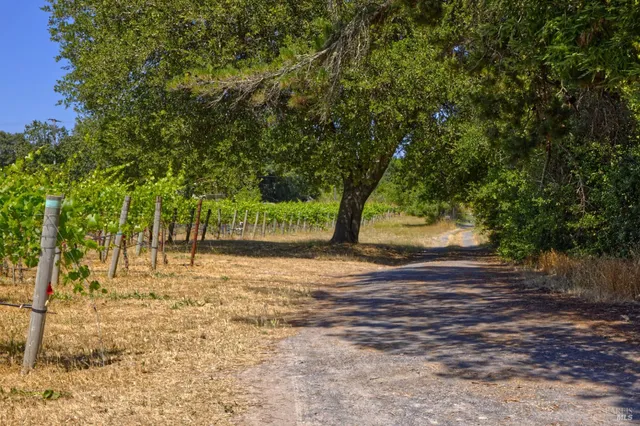 a view of backyard with green space