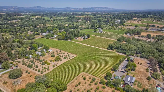 a view of a lush green outdoor space with a city view