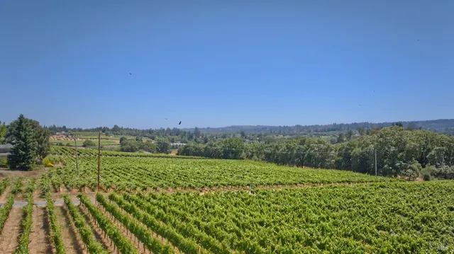 a view of a field with a building in the background