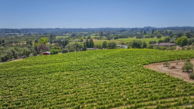 a view of a grassy area with an ocean view