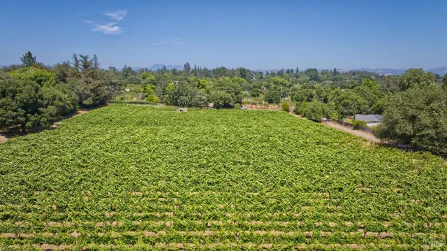 a view of a lush green field