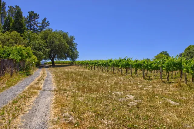 a view of a lake with houses in the background