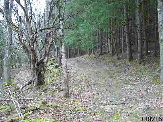 226 Broome Center Road Gilboa, NY 12076 - Photo 14 of 14 Photo 15