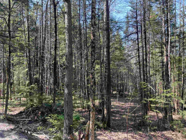 $82,500 | 0 Bettis Road, Randolph Center, VT 05061