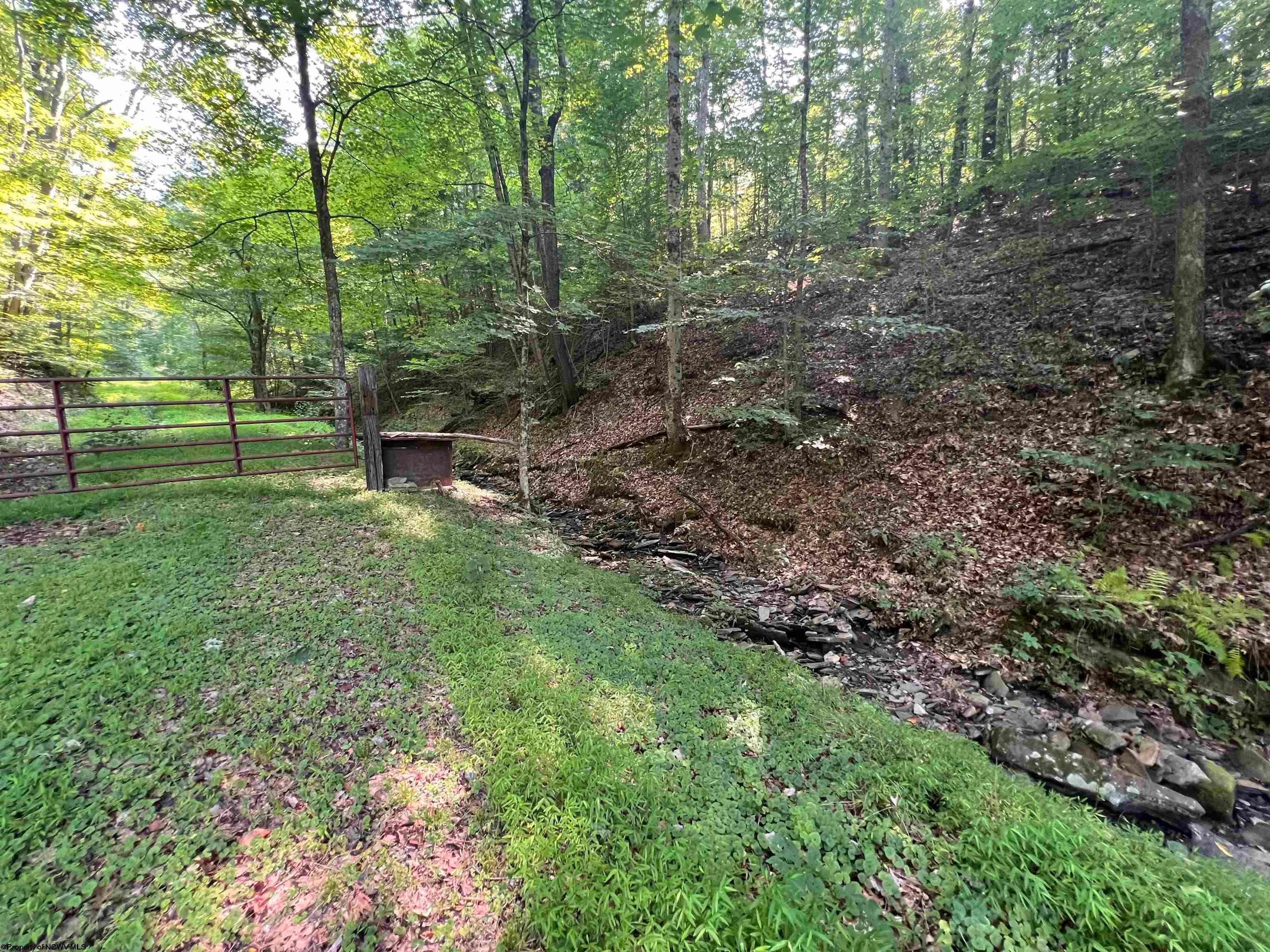 6176 Clover Run Road Parsons, WV 26287 - Photo 33 of 36 Gallery Image 33