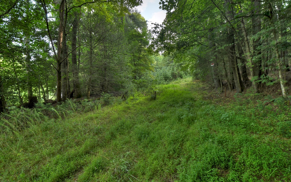 Additional View