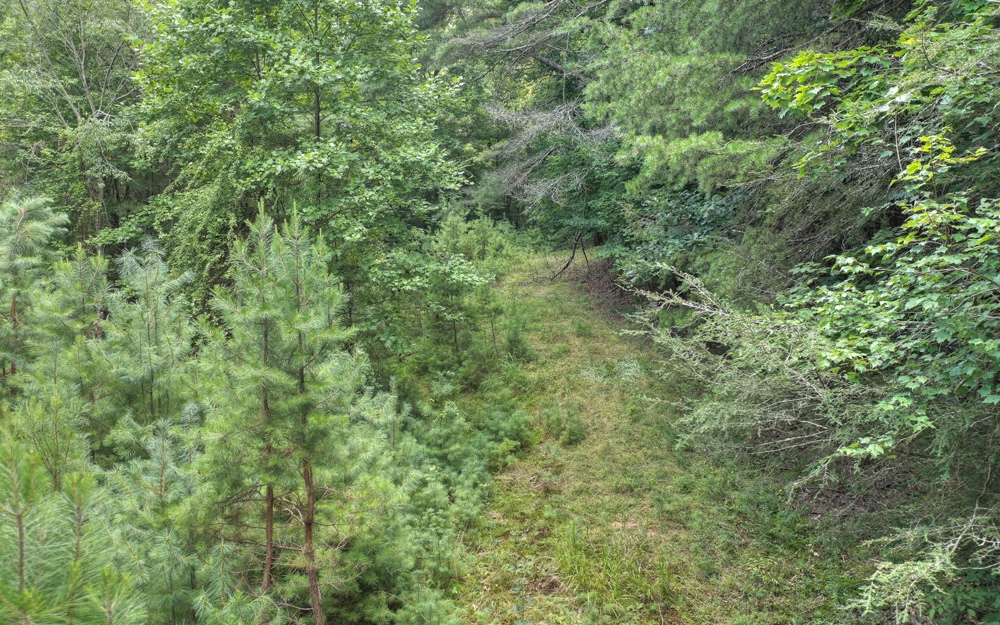 Additional View