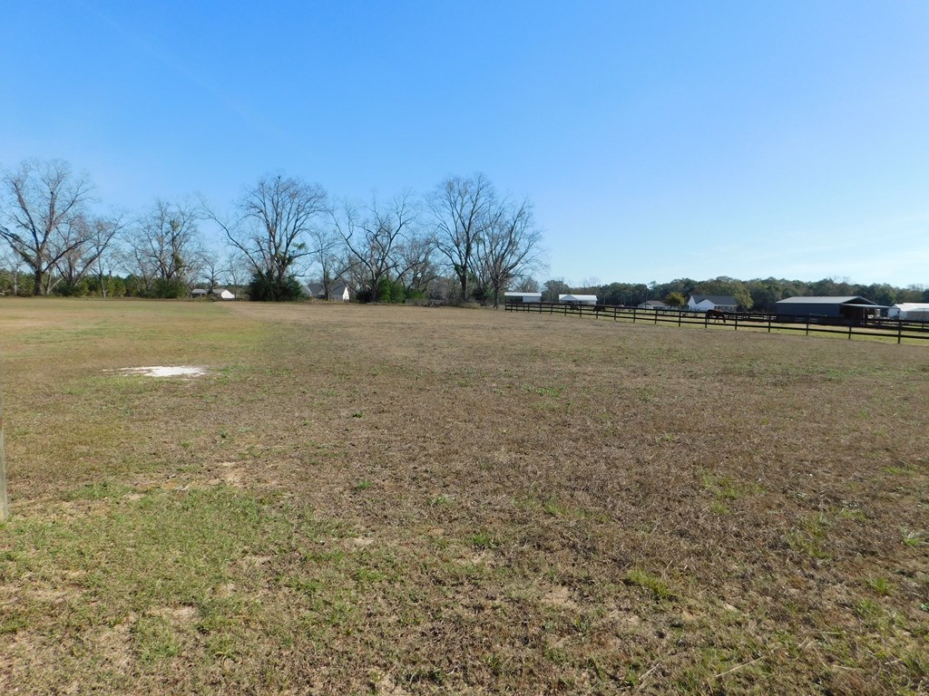 0 Airport Road Slocomb, AL 36375 - Photo 3 of 8