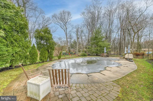 a view of a backyard with large trees