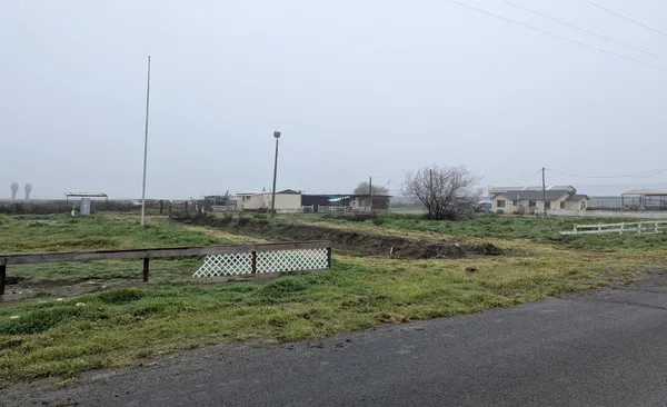 a view of a garden with a lake view