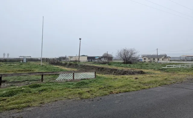 a view of a garden with a lake view