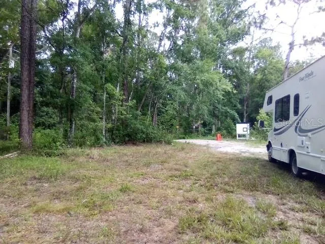 a view of a backyard with large trees