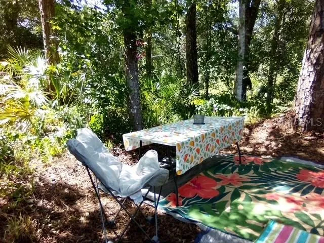 a view of a patio with table and chairs and potted plants