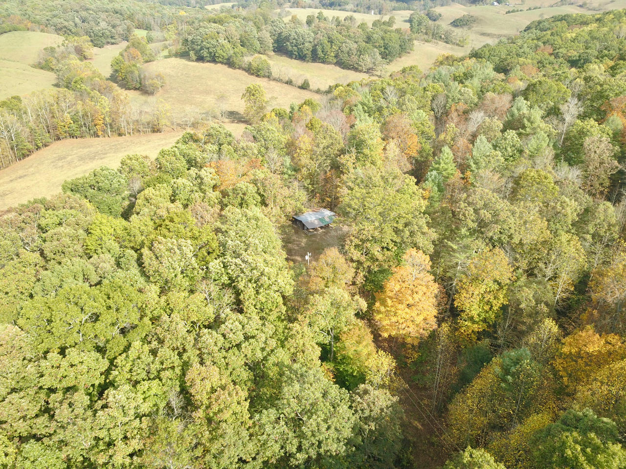 4860 Indian Valley Road Riner, VA 24149 - Photo 14 of 96 a view of a yard