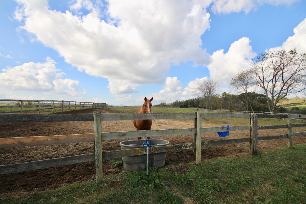 4860 Indian Valley Road Riner, VA 24149 - Photo 47 of 96 a view of a lake from a yard