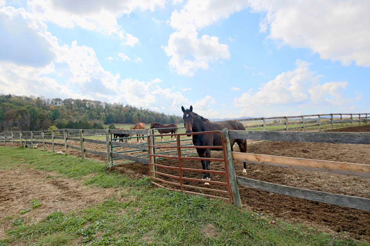 4860 Indian Valley Road Riner, VA 24149 - Photo 48 of 96 a view of a garden with an outdoor space
