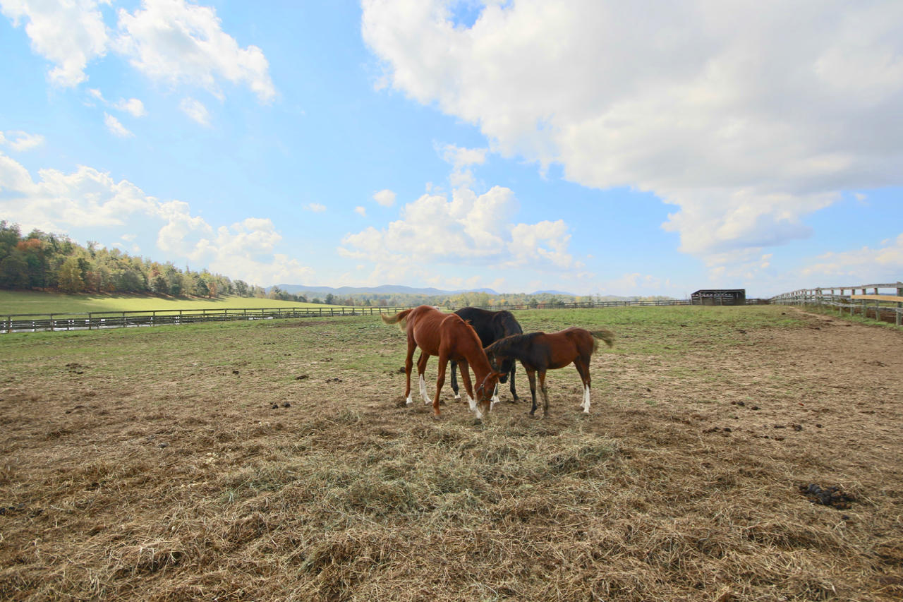 4860 Indian Valley Road Riner, VA 24149 - Photo 50 of 96 a view of a lake with table and chair