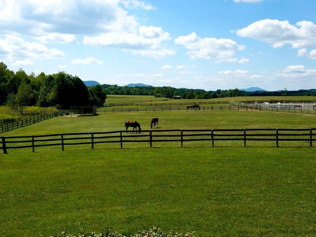 4860 Indian Valley Road Riner, VA 24149 - Photo 86 of 96 a view of a park with an ocean