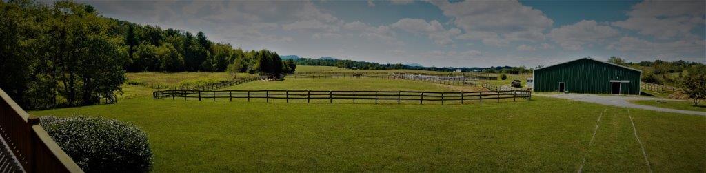 4860 Indian Valley Road Riner, VA 24149 - Photo 87 of 96 20170909_140447