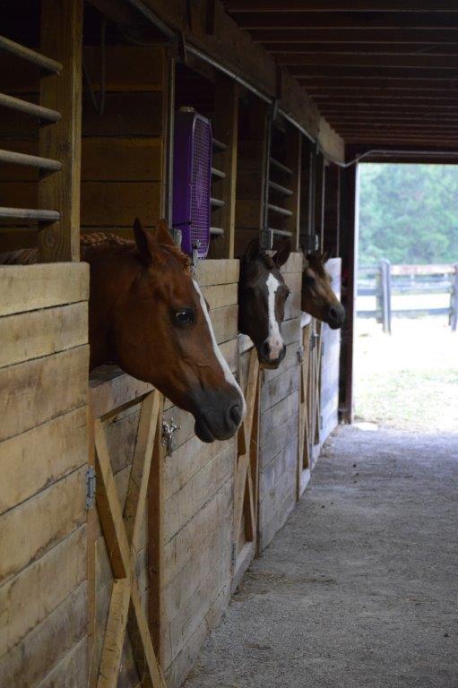 4860 Indian Valley Road Riner, VA 24149 - Photo 91 of 96 a view of a porch with seating space