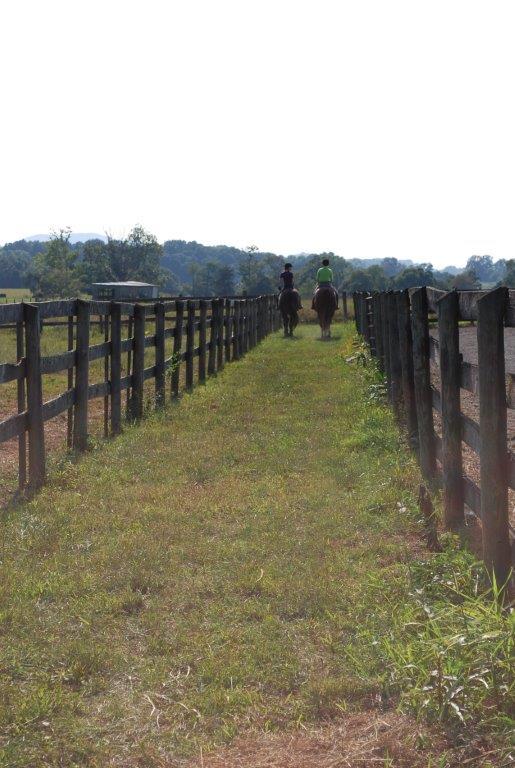 4860 Indian Valley Road Riner, VA 24149 - Photo 92 of 96 DSC_0746