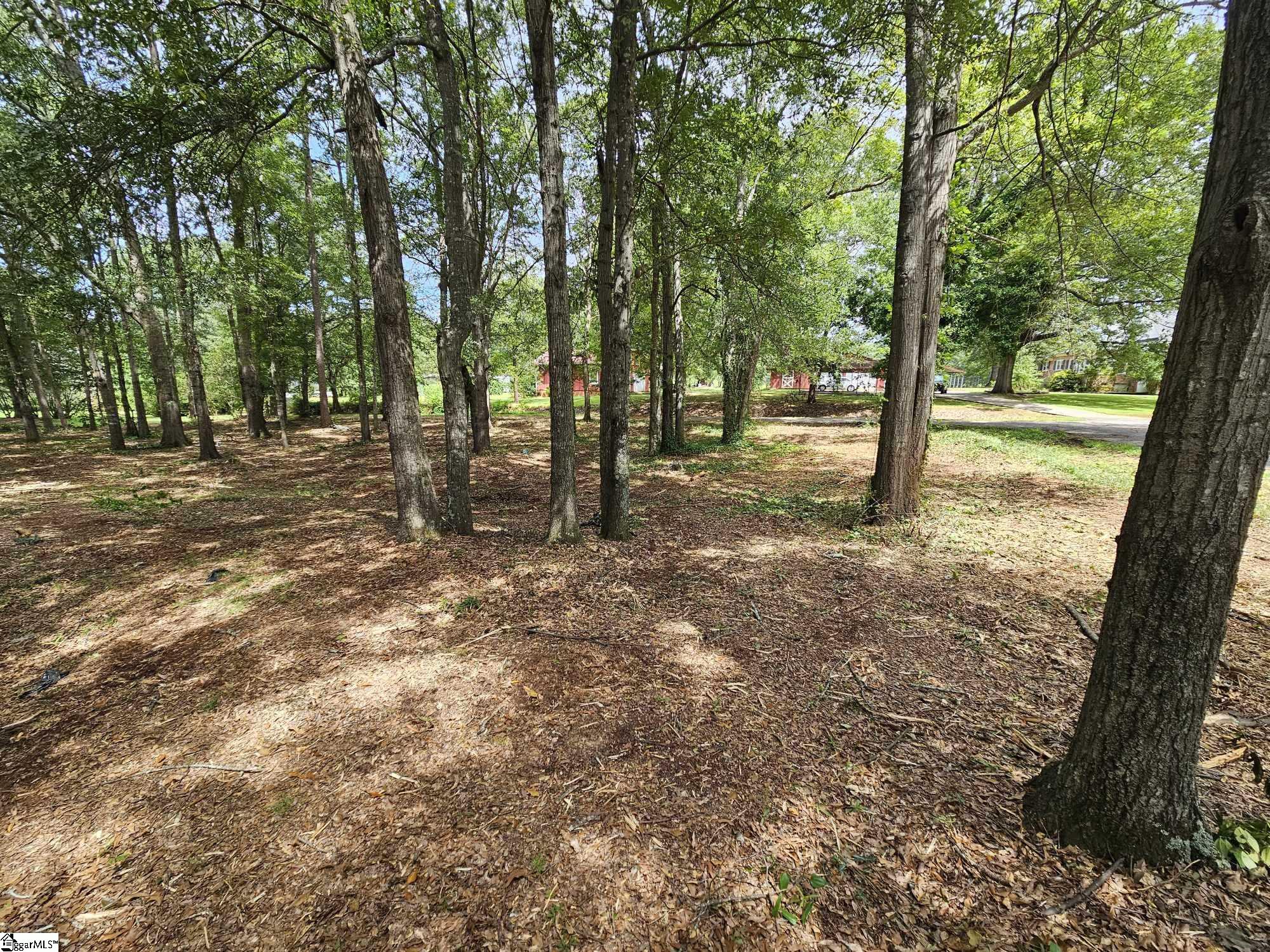 231 State Rd S-42-8239 Inman, SC 29349 - Photo 5 of 22
