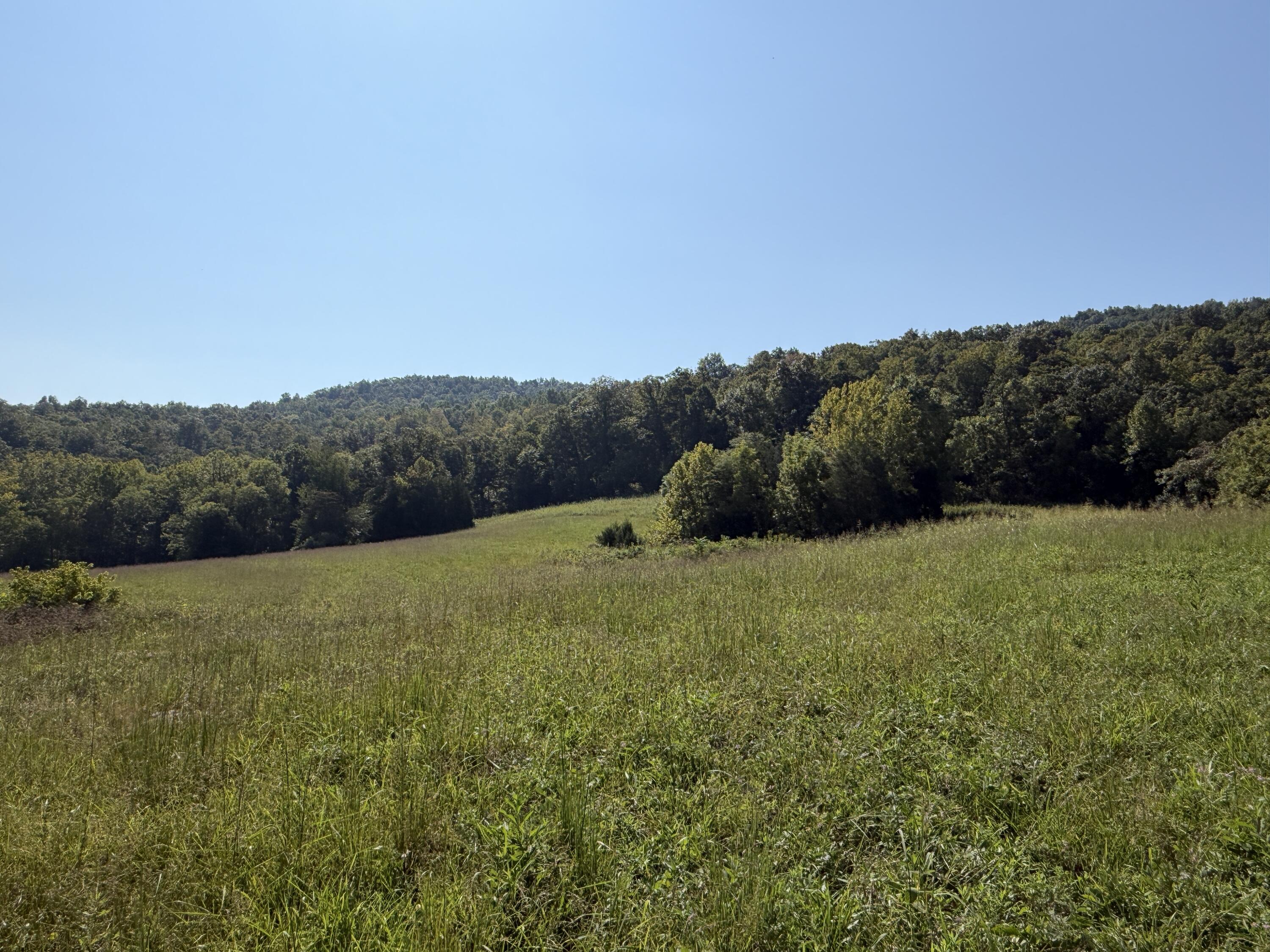 0 Phillips Hollow Road Monticello, KY 42633 - Photo 18 of 21 IMG_0615