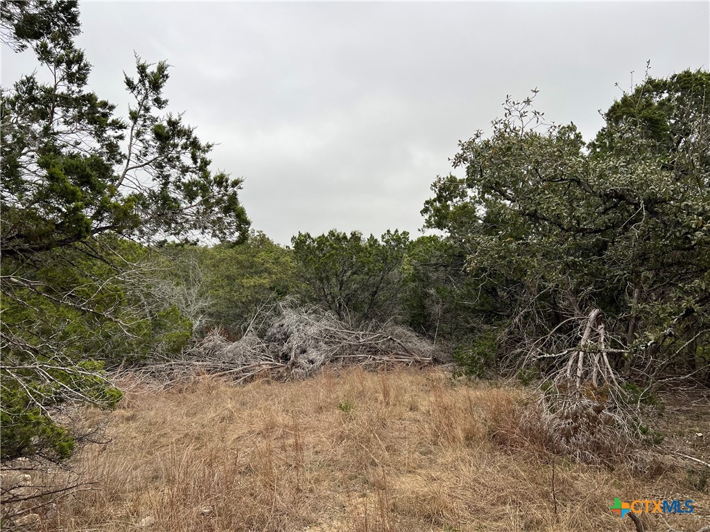 713 Stagecoach Spring Branch, TX 78070 - Photo 3 of 8