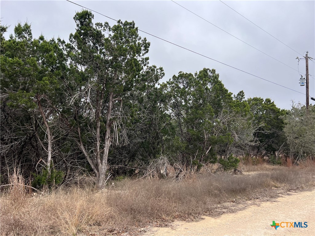 713 Stagecoach Spring Branch, TX 78070 - Photo 5 of 8