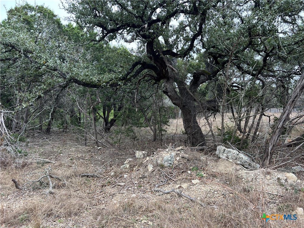 713 Stagecoach Spring Branch, TX 78070 - Photo 6 of 8