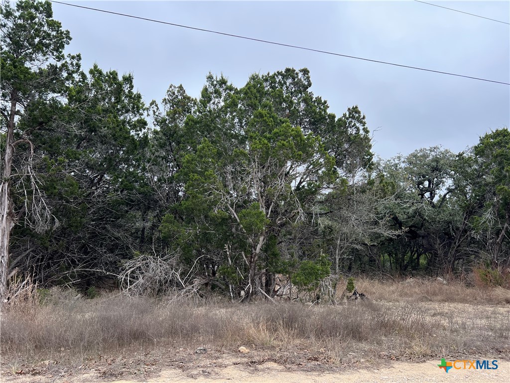 713 Stagecoach Spring Branch, TX 78070 - Photo 7 of 8