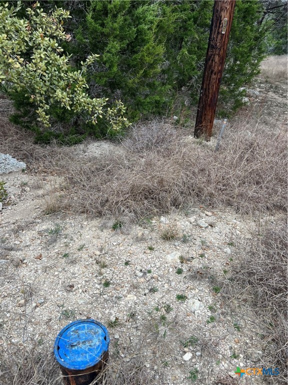 713 Stagecoach Spring Branch, TX 78070 - Photo 8 of 8