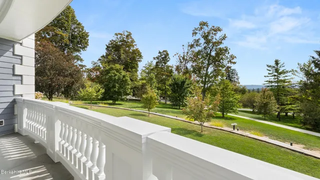 a view of a yard and large trees