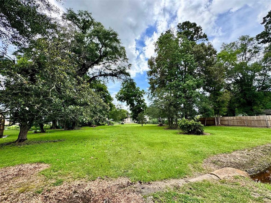 Tbd 11th Street Kinder, LA 70648 - Photo 3 of 6