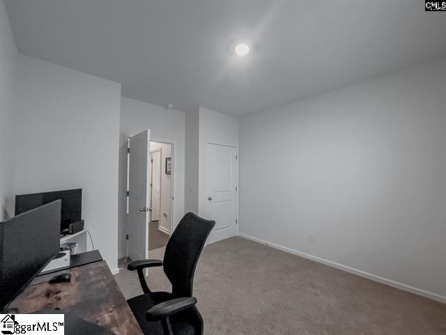 224 Heathrow Way Lexington, SC 29073 - Photo 29 of 30