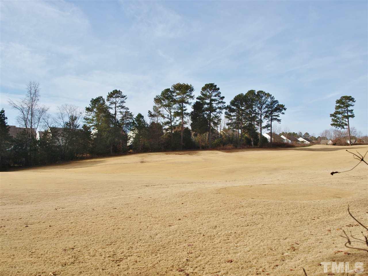 3609 Cathedral Bell Road Raleigh, NC 27614 - Photo 19 of 23 a view of an ocean