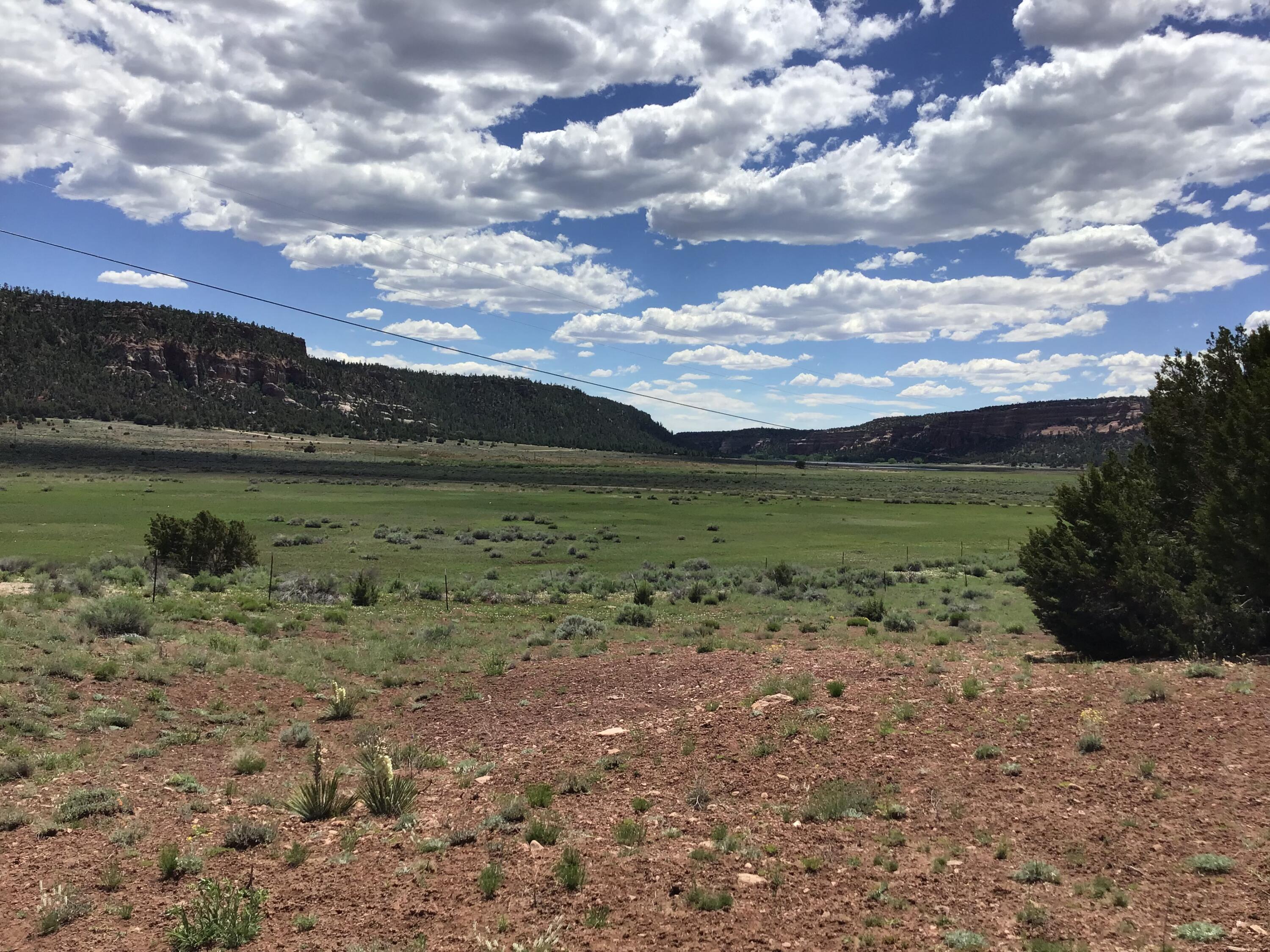 Lot D Timberlake Road Ramah, NM 87321 - Photo 3 of 45 Gallery Image 3