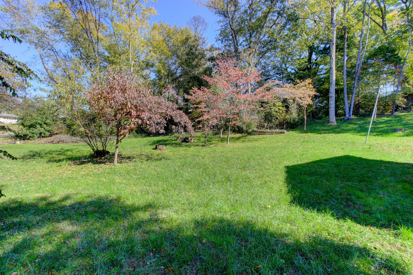 4422 Sullivan Road Knoxville, TN 37921 - Photo 3 of 15 a view of a lush green space