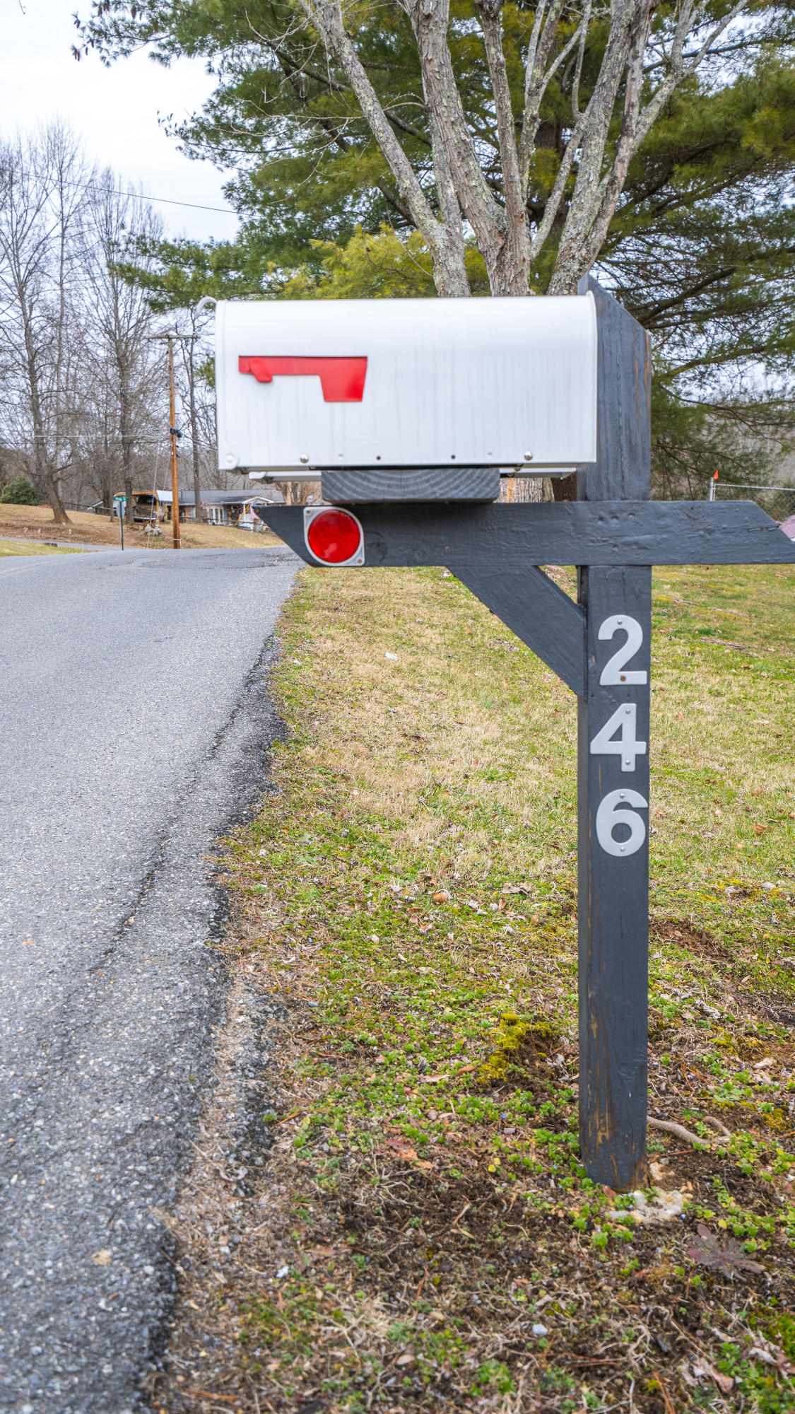 246 Shannon View Road Johnson City, TN 37615 - Photo 5 of 30 DSC05852