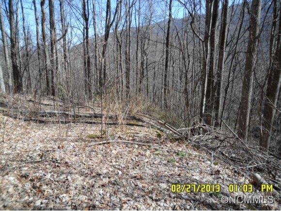 0 Nottingham Road, Unit 1 Maggie Valley, NC 28751 - Photo 1 of 21