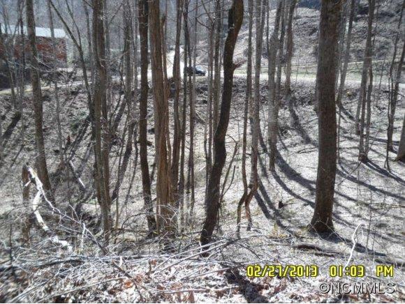 0 Nottingham Road, Unit 1 Maggie Valley, NC 28751 - Photo 4 of 21
