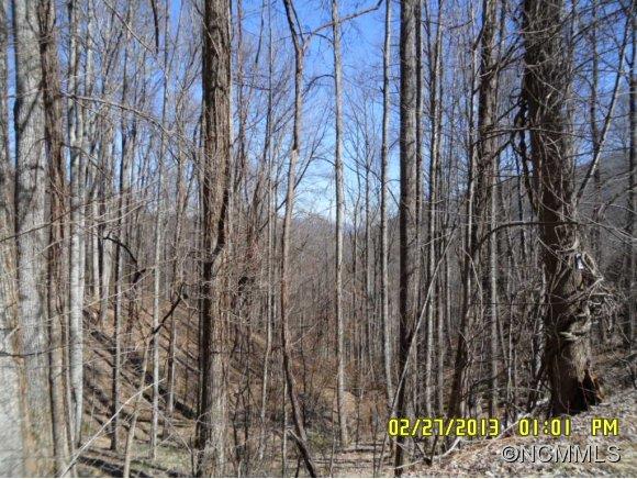 0 Nottingham Road, Unit 1 Maggie Valley, NC 28751 - Photo 5 of 21