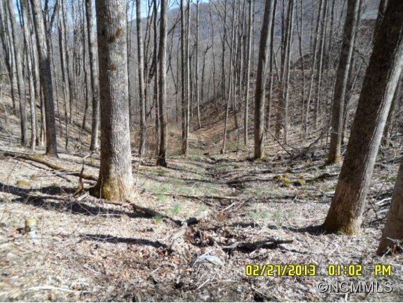 0 Nottingham Road, Unit 1 Maggie Valley, NC 28751 - Photo 8 of 21