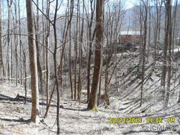 0 Nottingham Road, Unit 1 Maggie Valley, NC 28751 - Photo 9 of 21