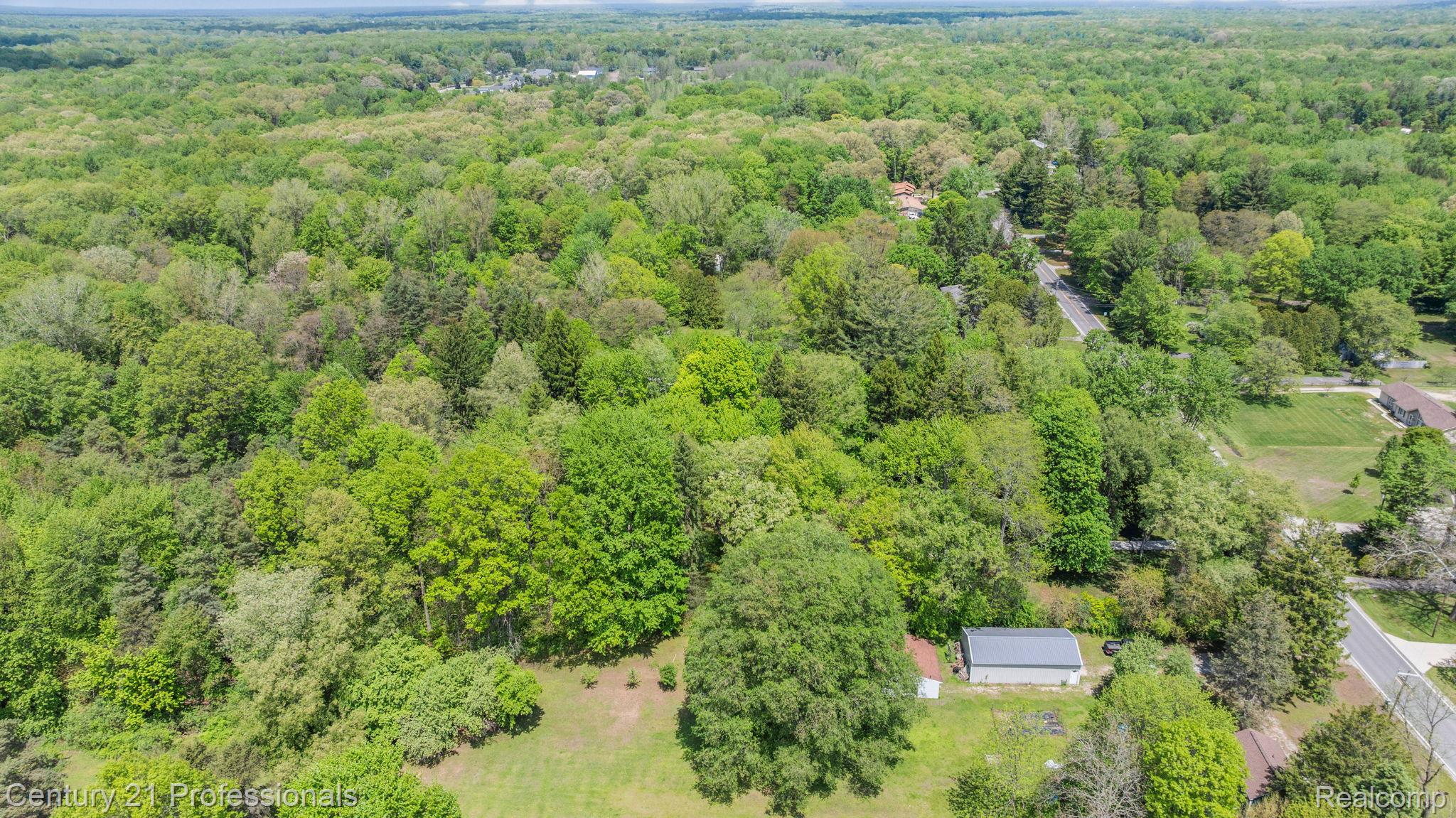 8638 Stone Road Algonac, MI 48001 - Photo 63 of 70 Bird's eye view of a forest