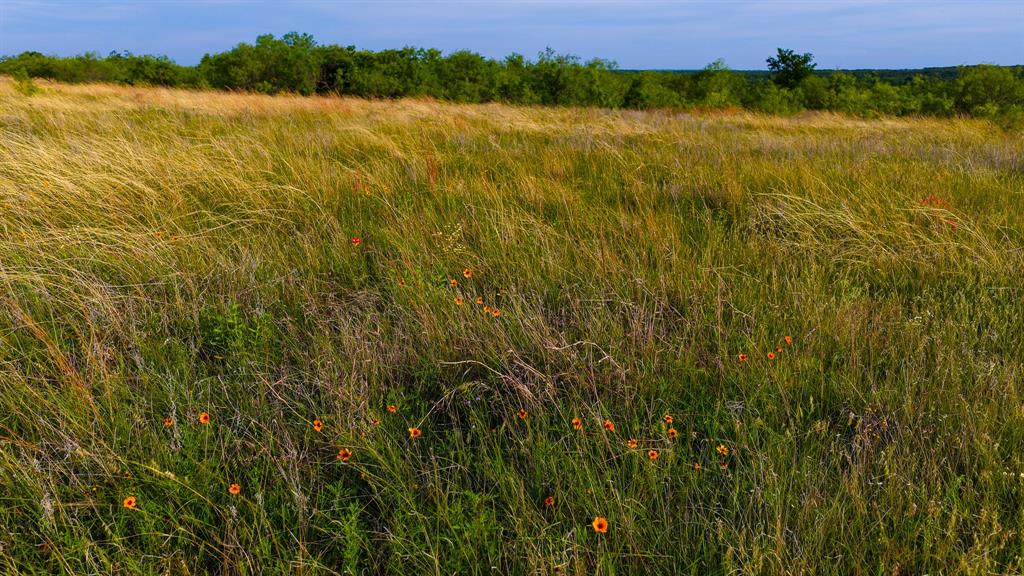 3641 Carpenter Road Nocona, TX 76255 - Photo 38 of 38