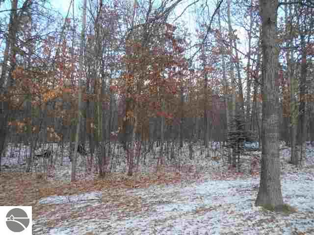 620 13 Mile Road Marion, MI 49665 - Photo 8 of 30 1741727-7.JPG