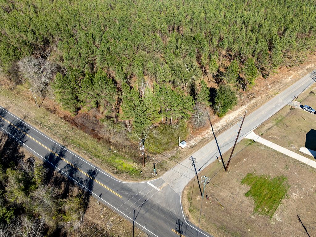 Lot 3-15 -ac Cottonwood Rd/ Phillips Road Cottonwood, AL 36320 - Photo 35 of 49